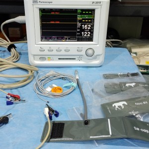 Patient Monitor Purescope IP-3010