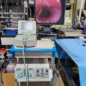 Biovision Veterinary Endoscopy system