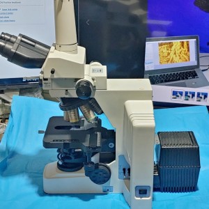 Nikon Eclipse E600 fluorescence /Bio/Phase microscope