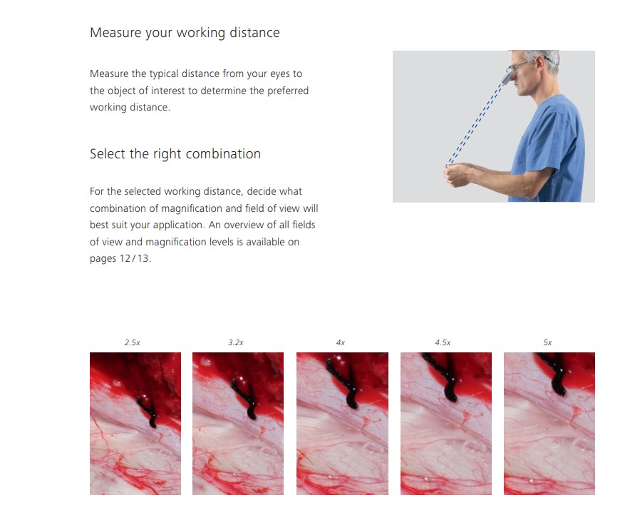 ZEISS EyeMag Medical Loupes