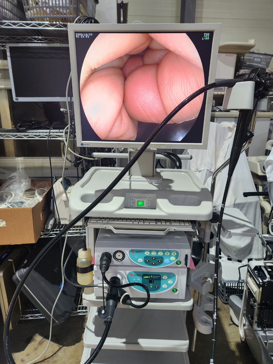 Fujinon EG-590WR Gastroscope