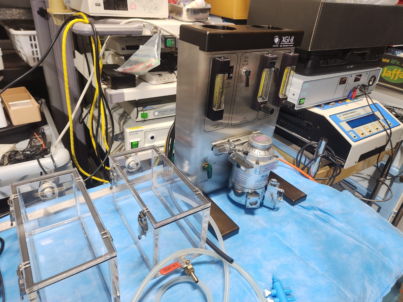 Xenogen XGI-8 Gas Anesthesia System