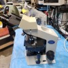 Olympus CX21 Microscope