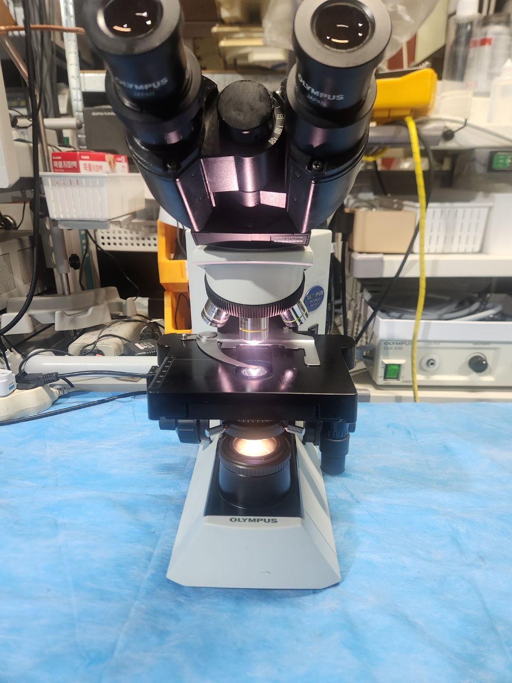 Olympus CX-31 Microscope