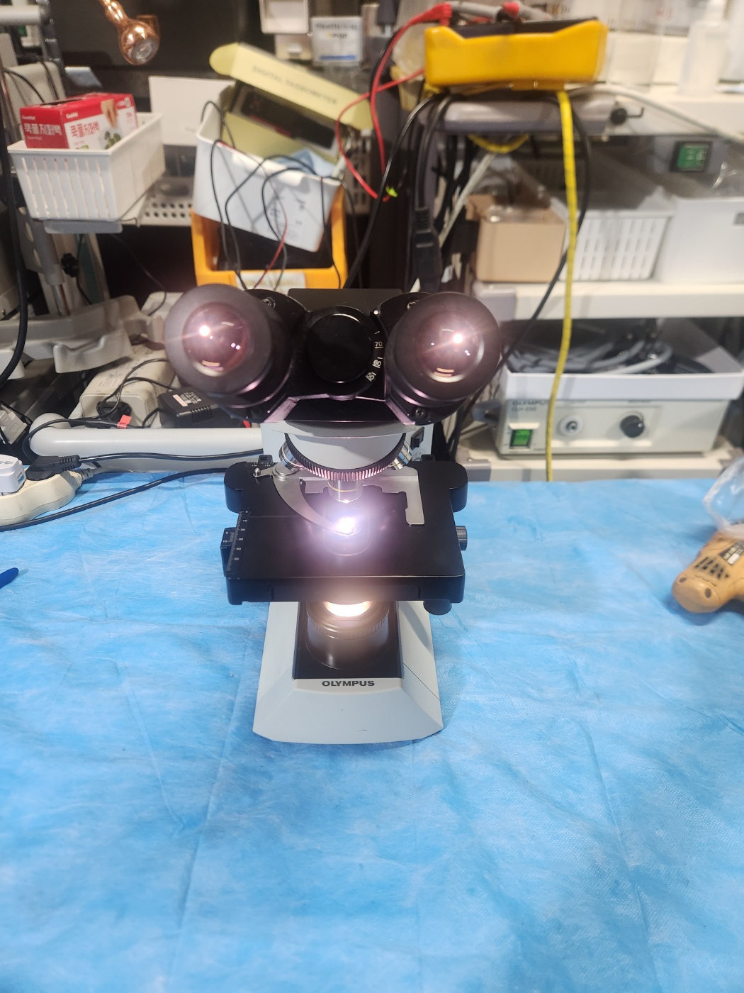 Olympus CX-31 Microscope